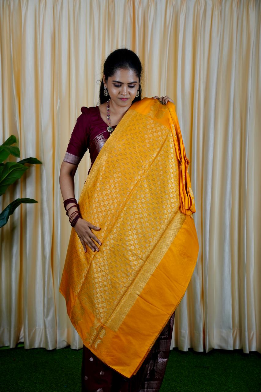 Soft warm Silk Saree🥰🥳