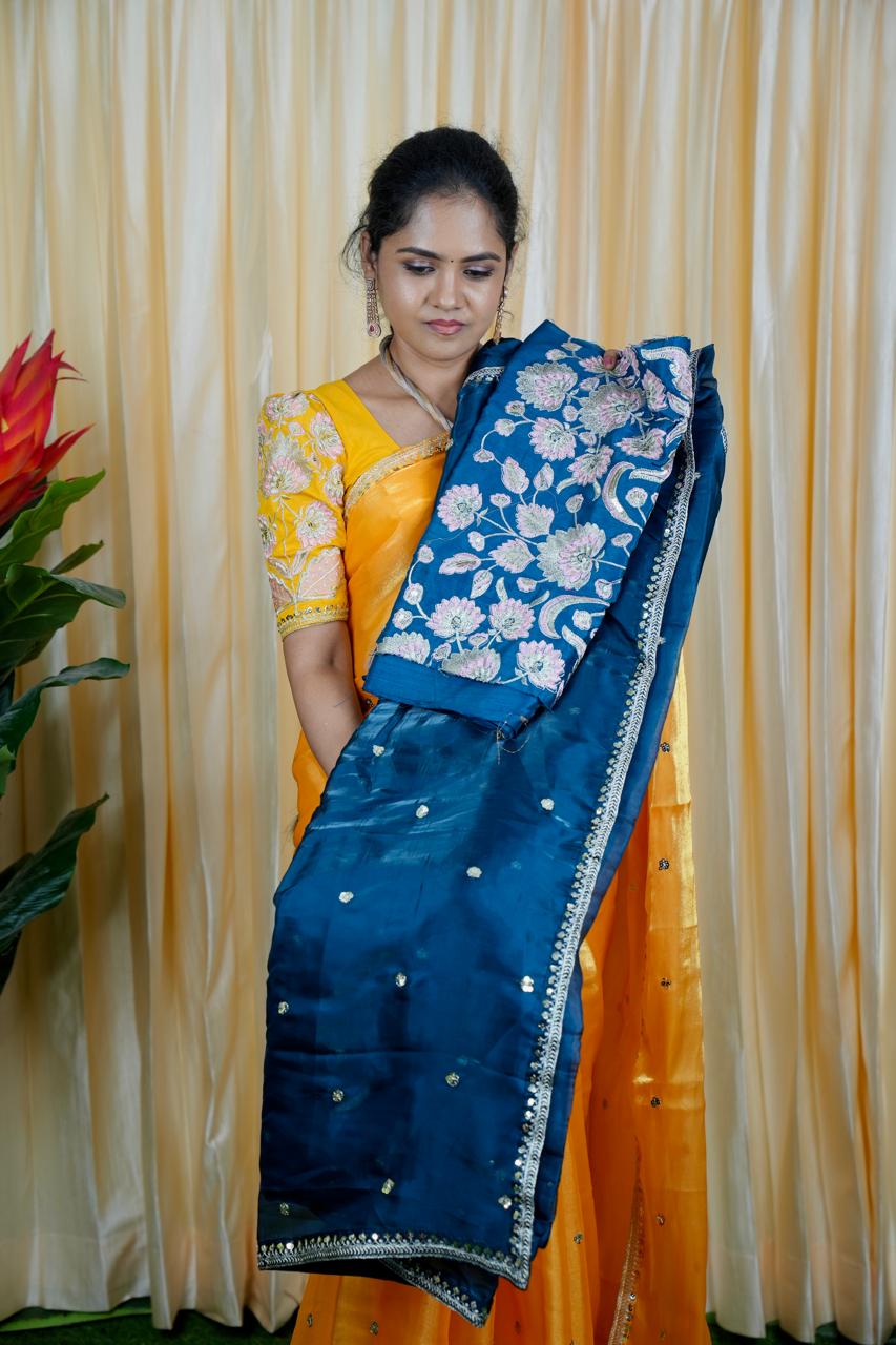 Jimmy Choo Saree with embroidery blouse🥰 🥳