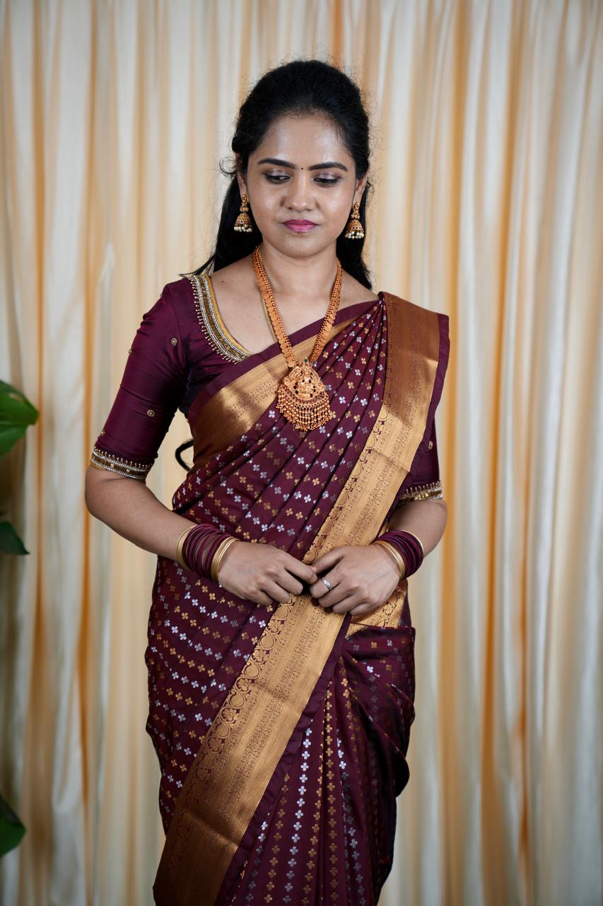 Premium Sridevi Inspired Saree (no animal figure ) šš