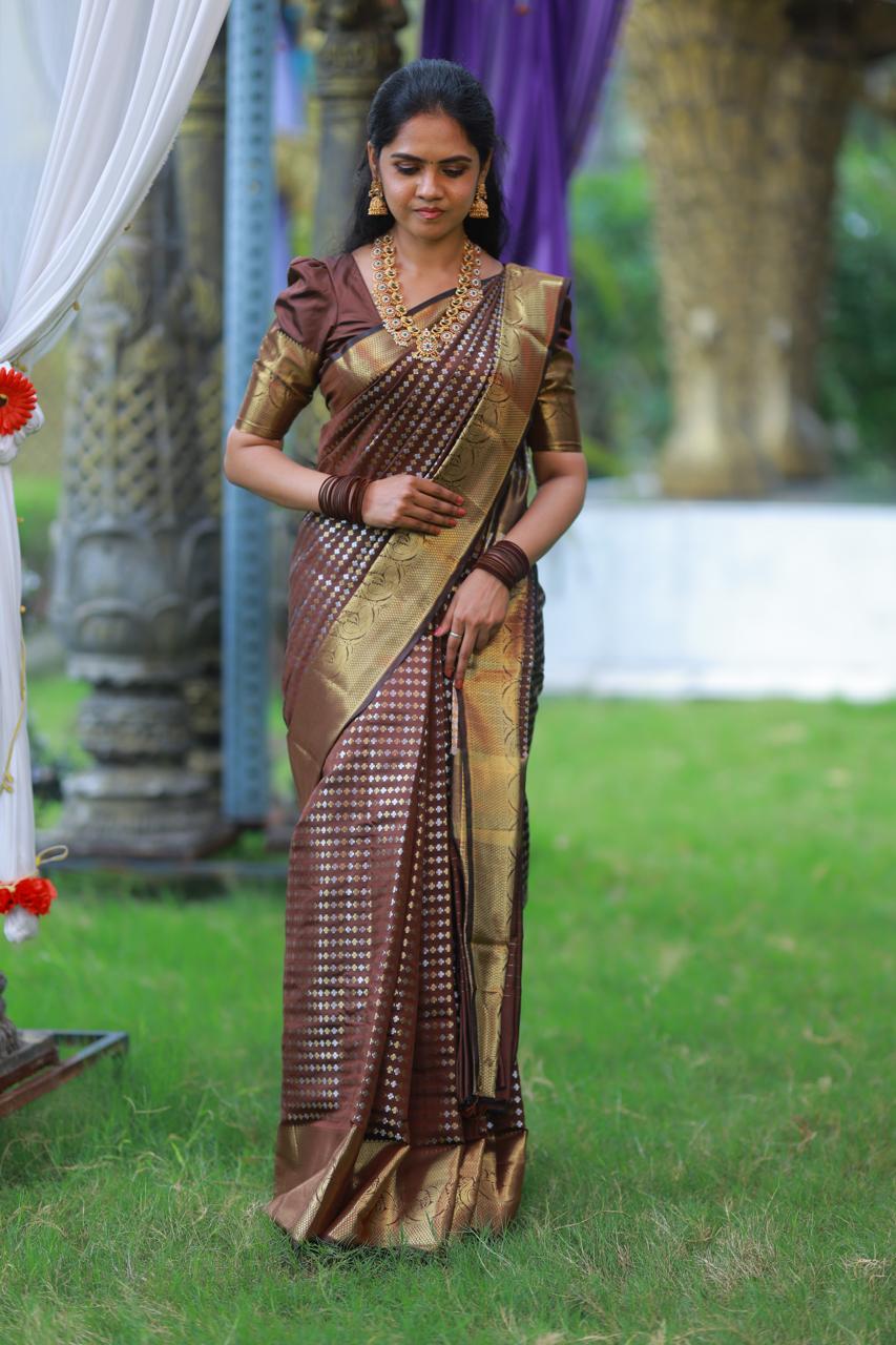 Sridevi inspired saree*(no animal figures) 🥳