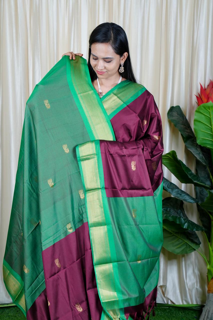 Kalyani Silk Saree🥳✅
