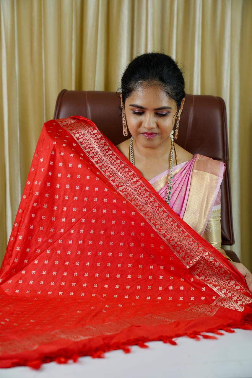 Banarasi silk salwar(unstitched)🥳