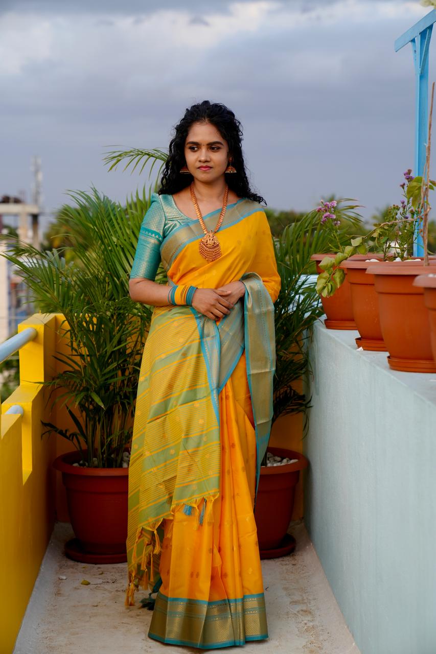 Kalyani soft silk👇
