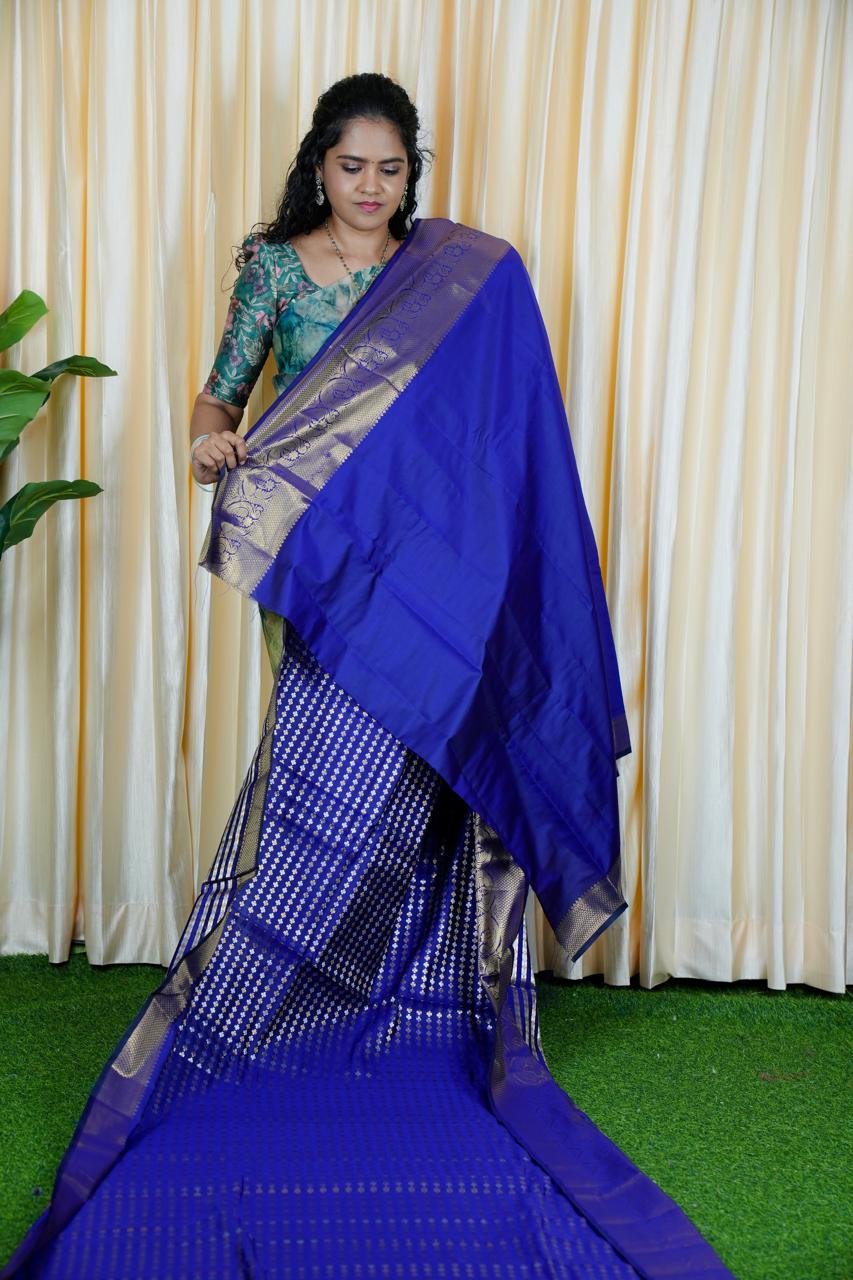 Sridevi inspired saree( no animal figure)🥳