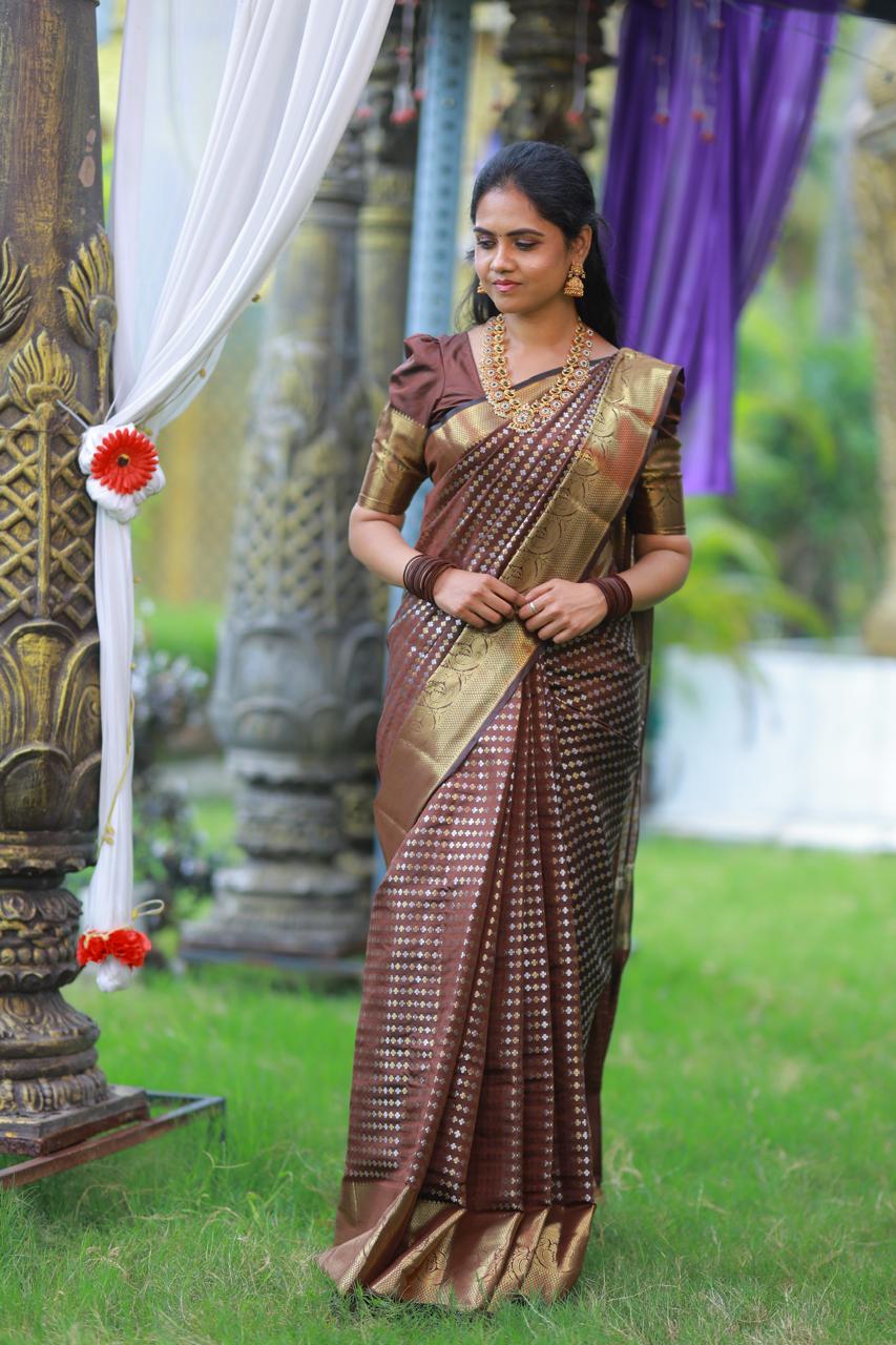 Sridevi inspired saree*(no animal figures) 🥳
