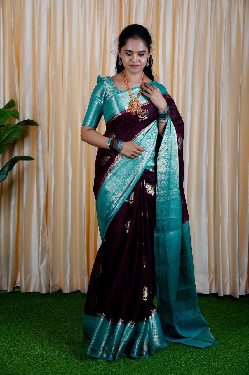 Premium Warm Silk Saree(no animal figure)🥳