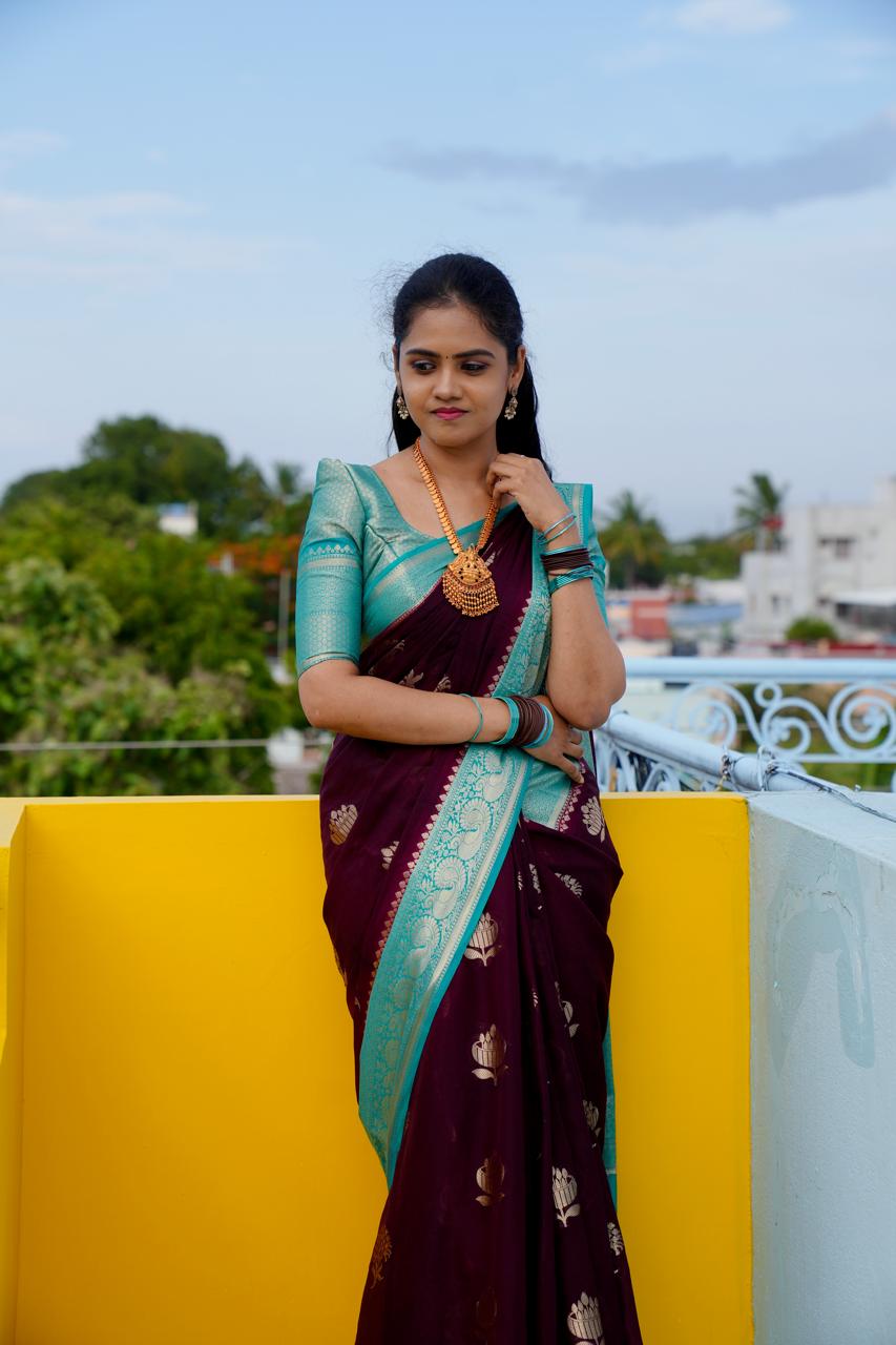 Premium Warm Silk Saree(no animal figure)🥳