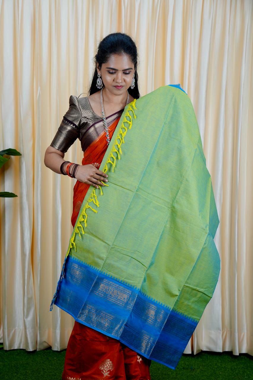 Kanchi cotton saree light green with sky blue ❌❌