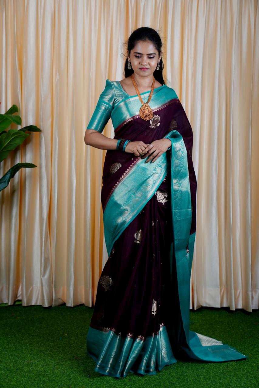 Premium Warm Silk Saree(no animal figure)🥳