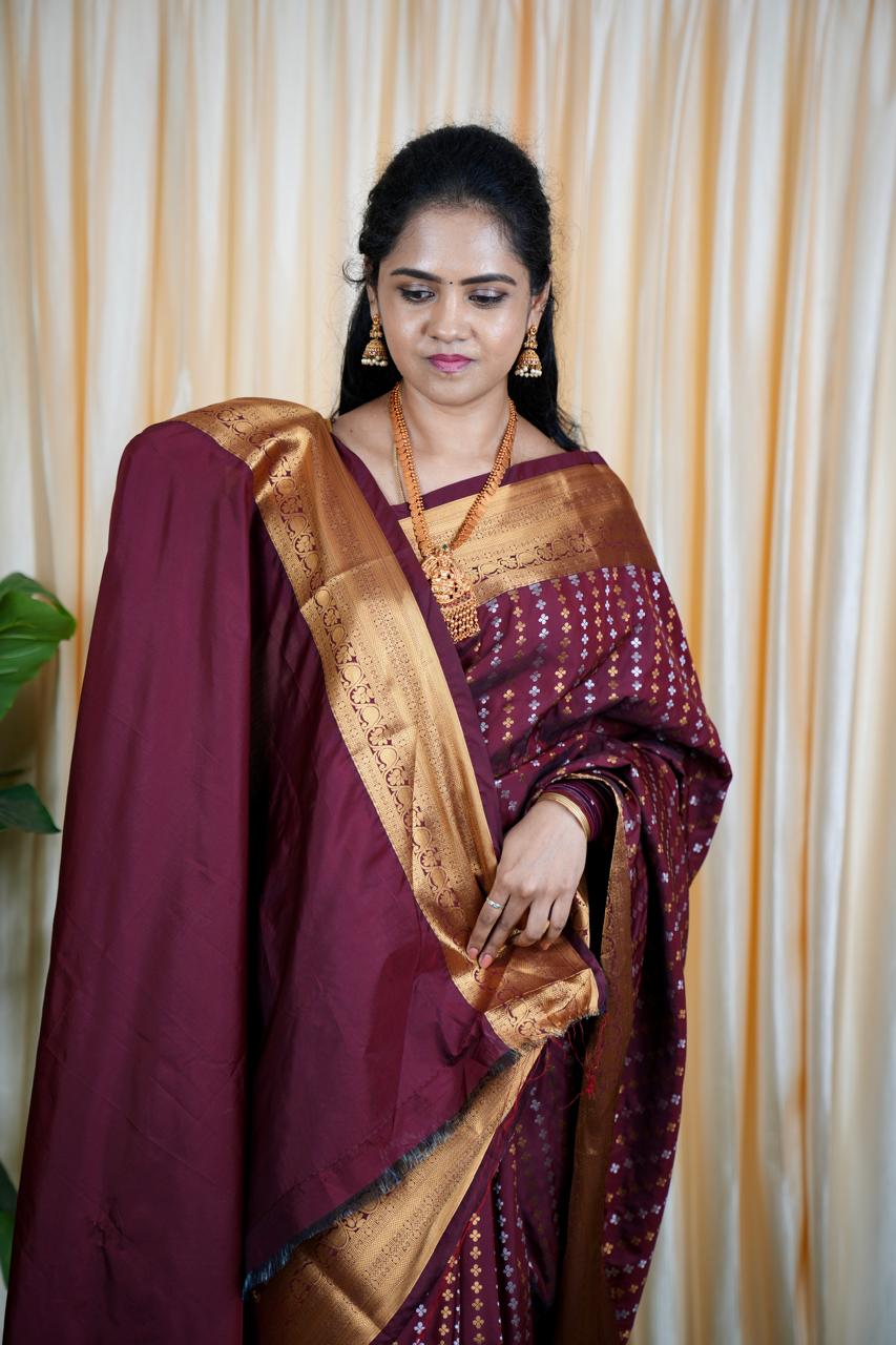 Premium Sridevi Inspired Saree (no animal figure ) šš