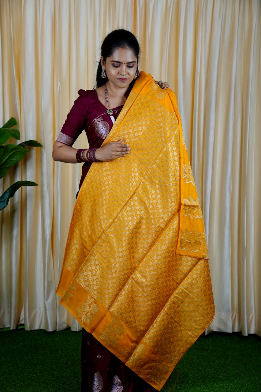 Soft warm Silk Saree🥰🥳