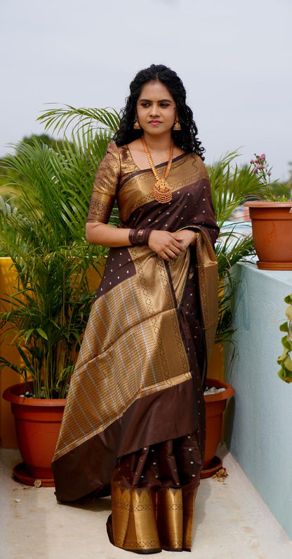 Soft silk saree   Prebook 🥳