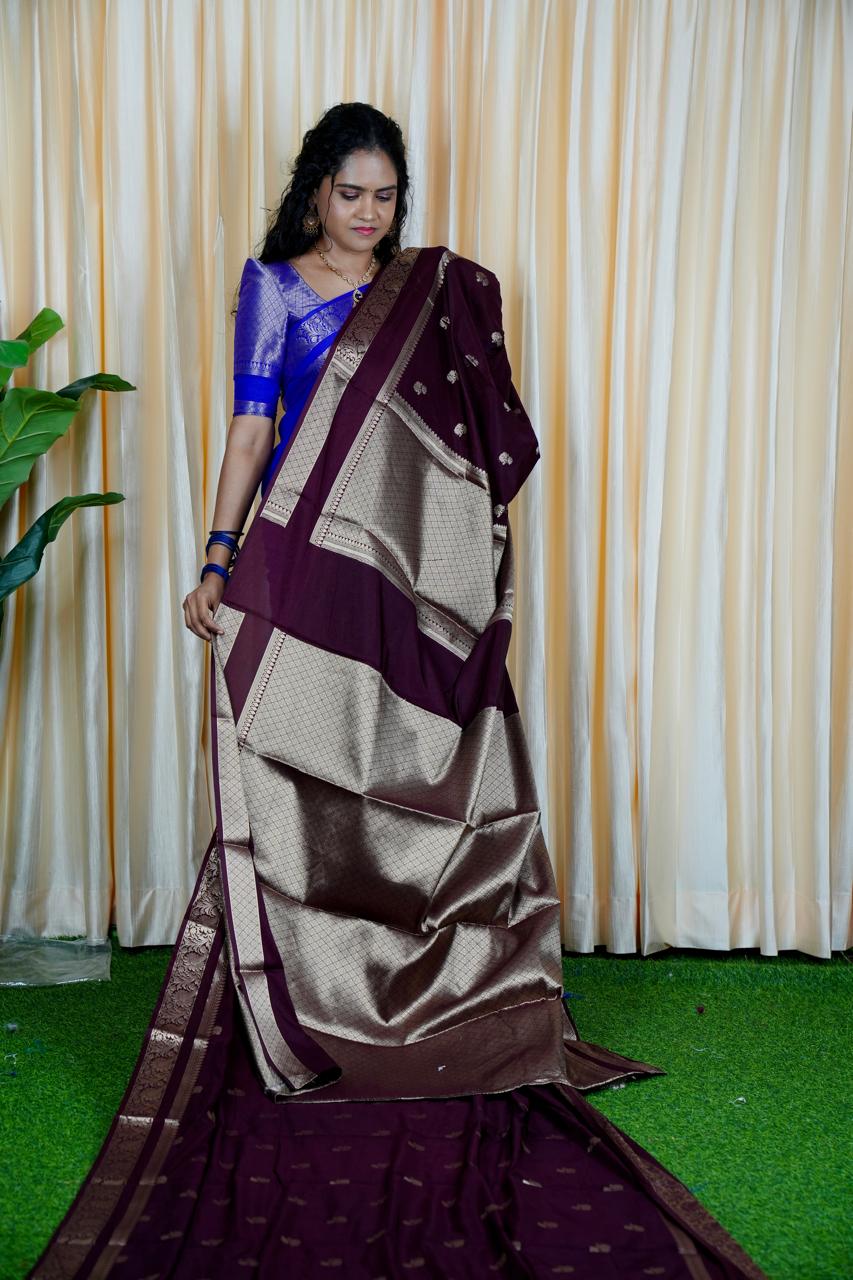 Premium warm silk saree🥳