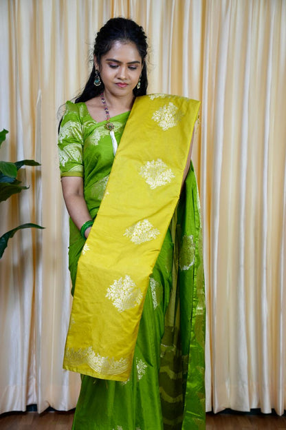 Warm silk Saree🥰🥳
