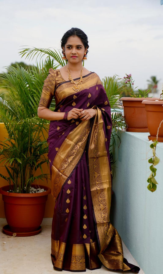Soft silk saree  prebook 🥳