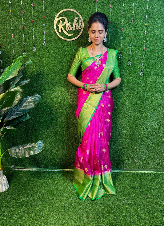 Soft organza saree