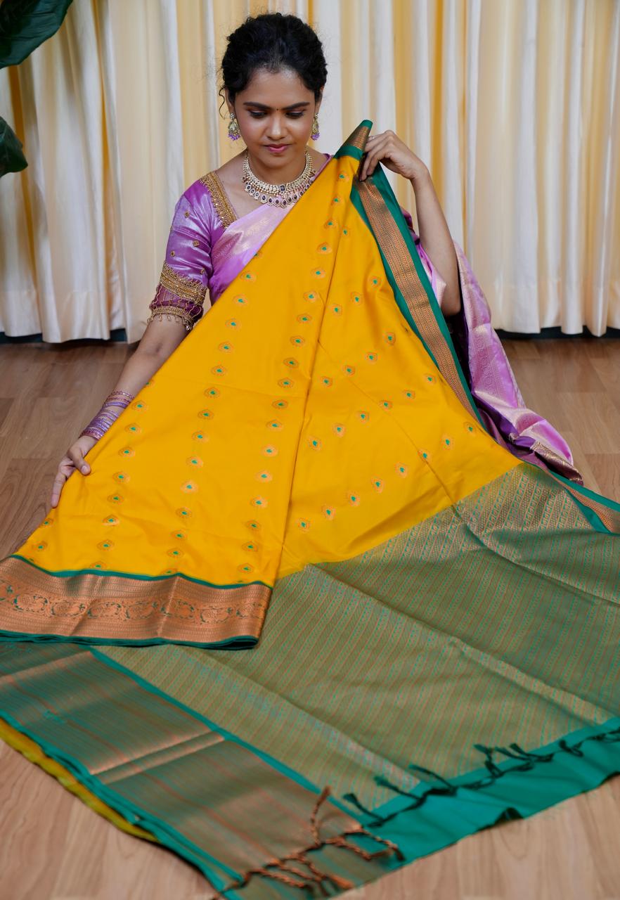 Kanchi Soft Silk Saree🥰