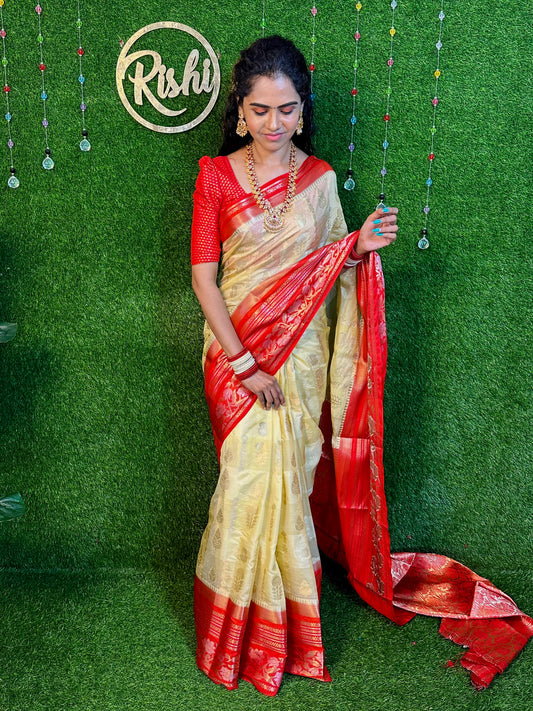 Katan silk saree🥳