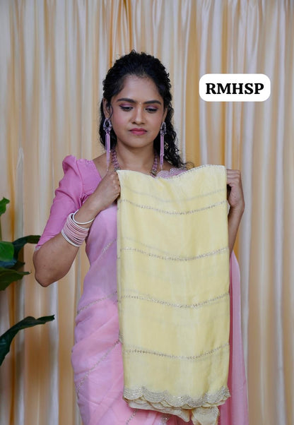 Space silk saree with stone work🥰😎🥳