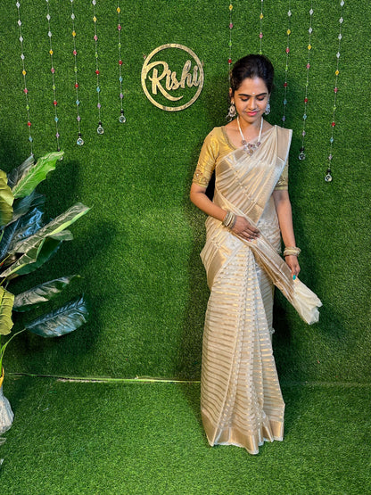 Kora organza silk saree YYYY