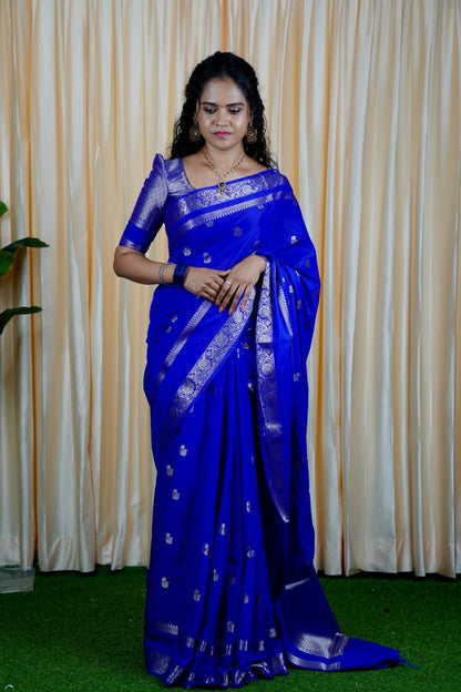 Premium warm silk saree🥳