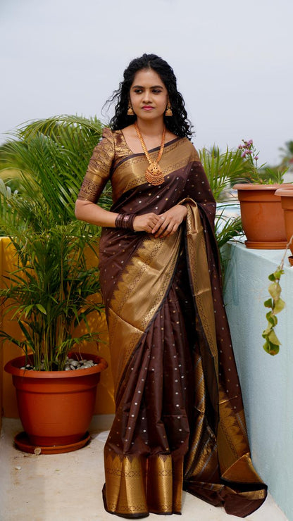 Soft silk saree   Prebook 🥳