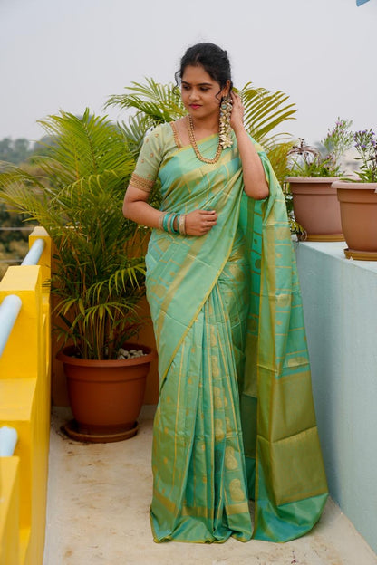 soft silk 🥳bluish green