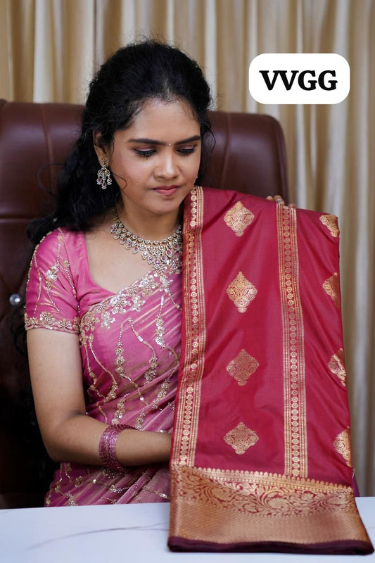 Soft silk saree with Monochrome border🥳