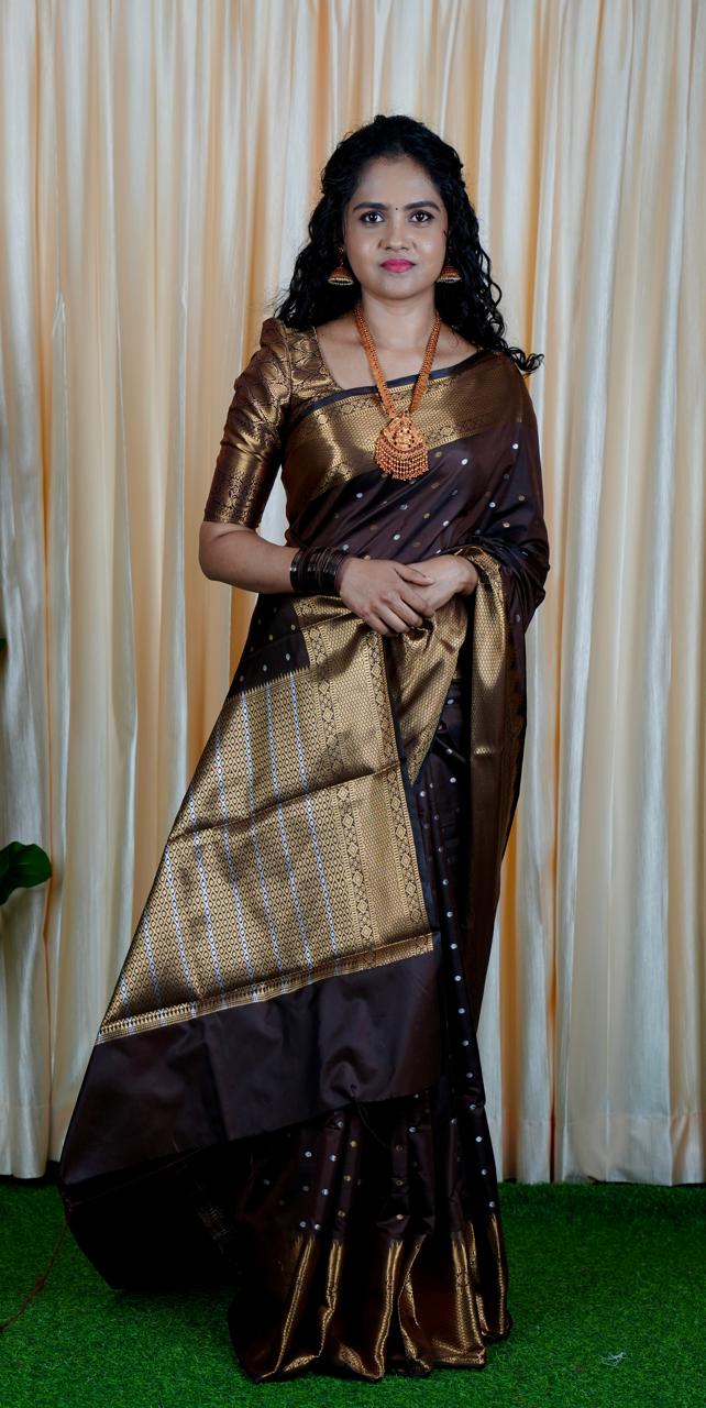 Soft silk saree   Prebook 🥳