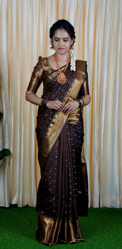 Soft silk saree   Prebook 🥳