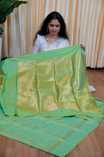 soft silk bluish green 🥰😎