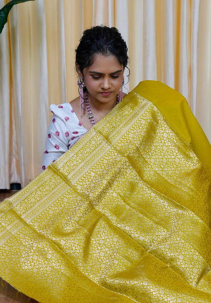 Warm silk sarees in half and half collections🥰🥳