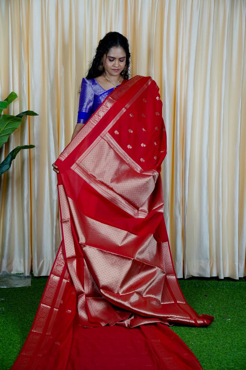 Premium warm silk saree🥳