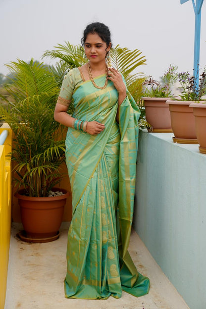 soft silk 🥳bluish green