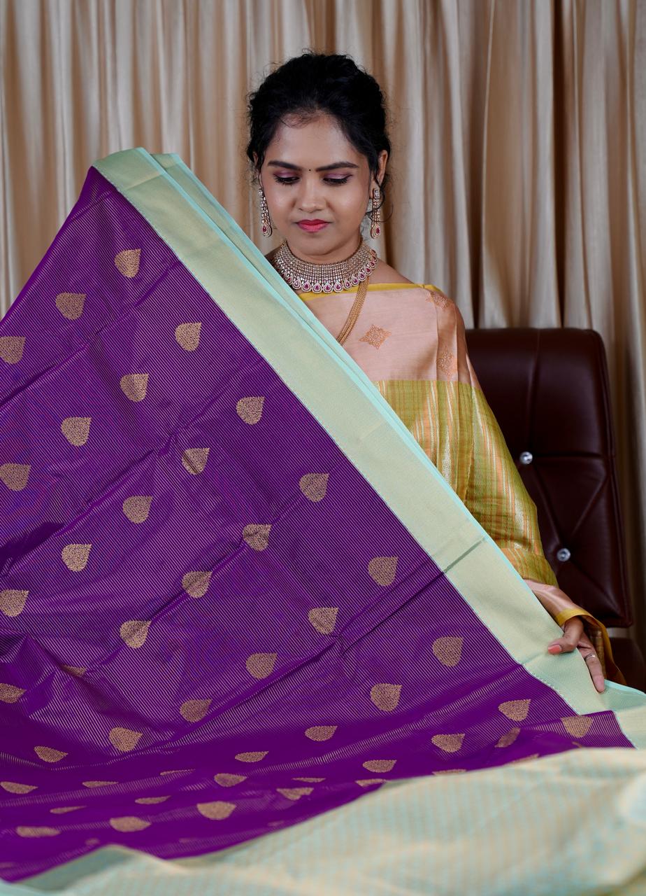 Premium Kanchi silk saree in check butta’s with contrast border🥰🥳