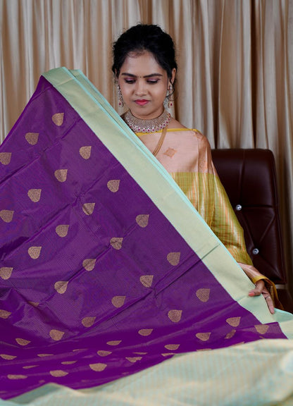 Premium Kanchi silk saree in check butta’s with contrast border🥰🥳