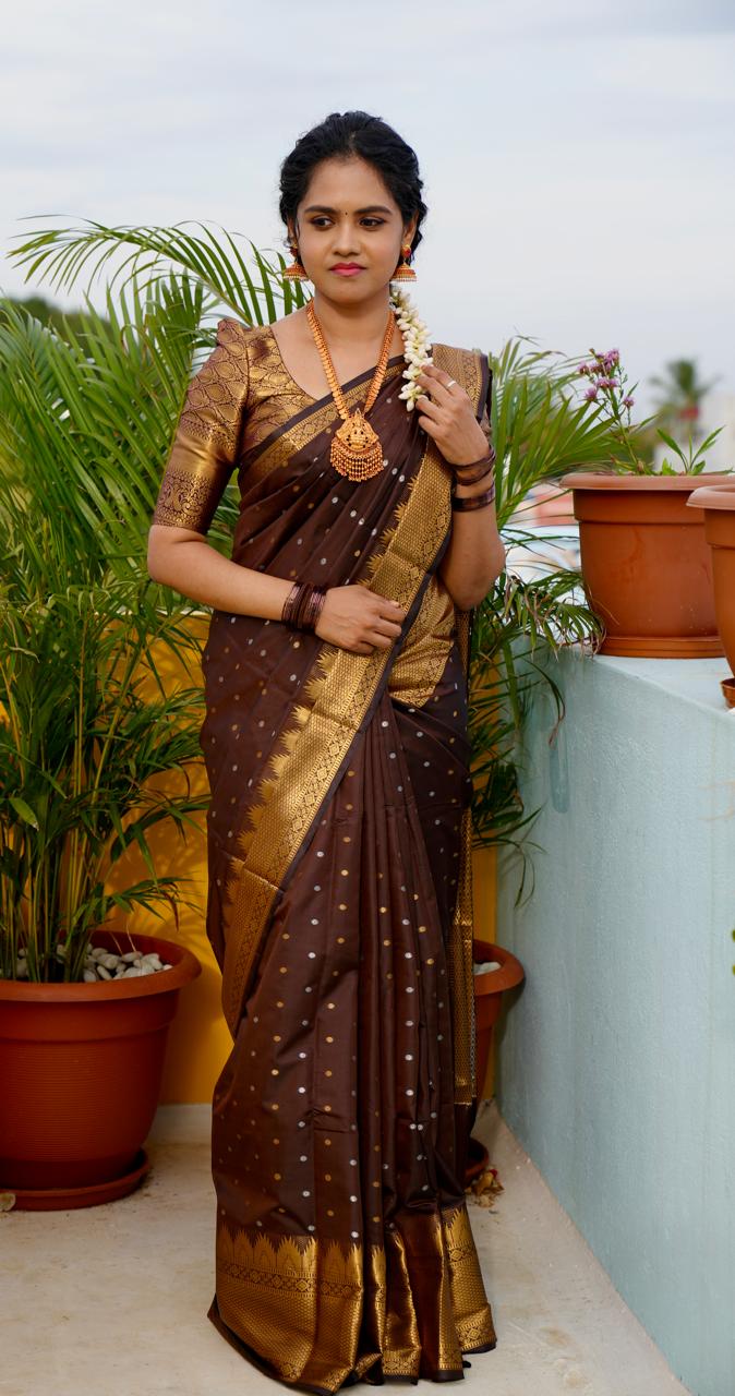 Soft silk saree   Prebook 🥳