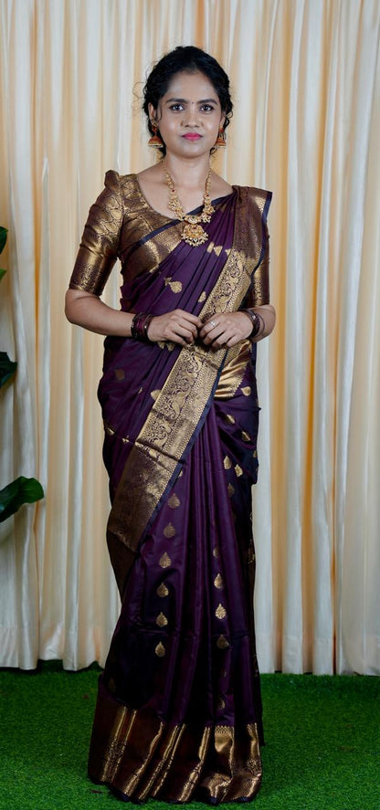 Soft silk saree  prebook 🥳
