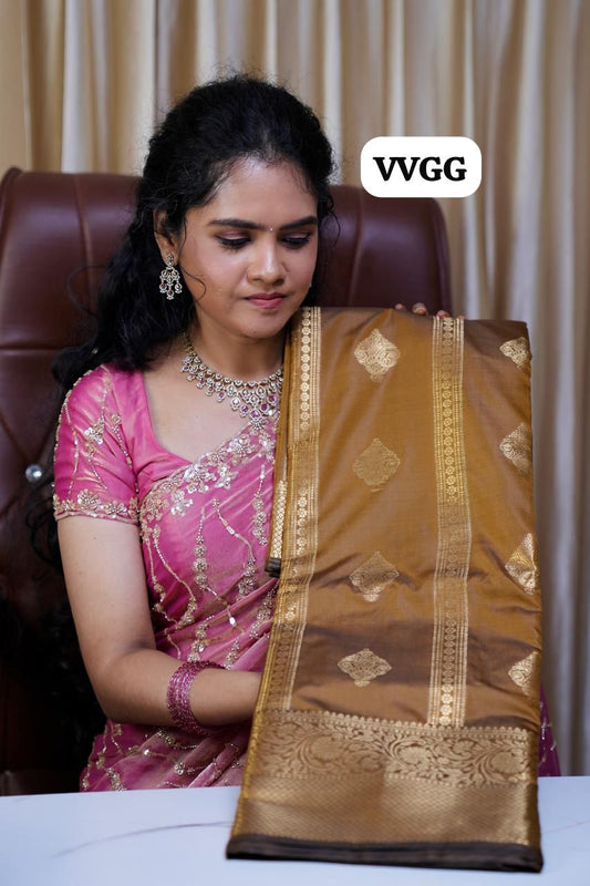 Soft silk saree with Monochrome border🥳