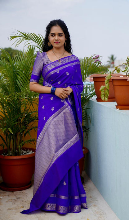 Premium warm silk saree🥳