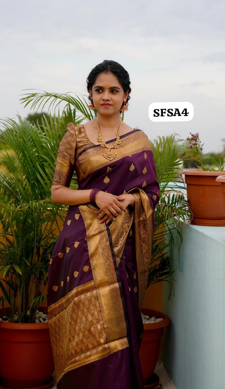 Soft silk saree  prebook 🥳