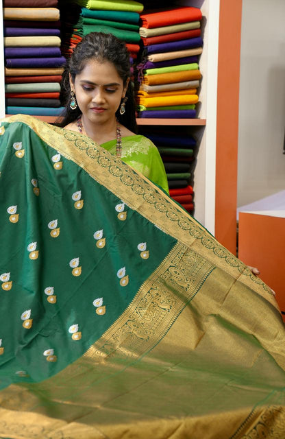 Premium  Bridal semi silk saree🍏🍄