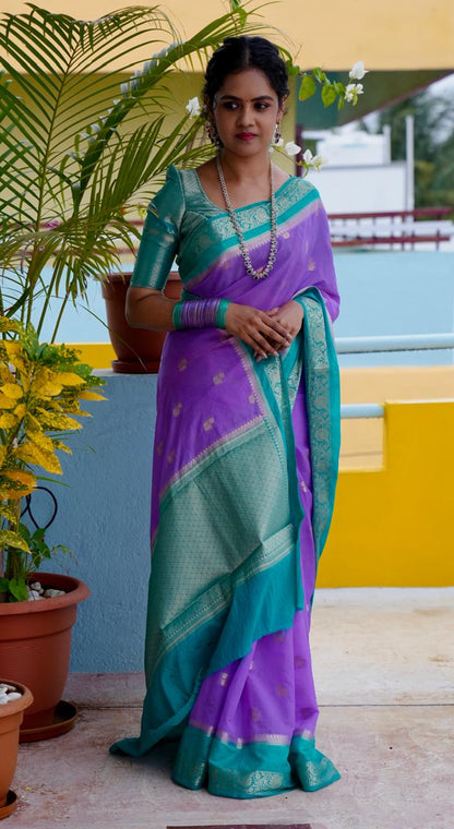 Premium warm silk saree ❌