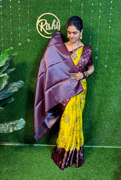 Warm silk saree XXX