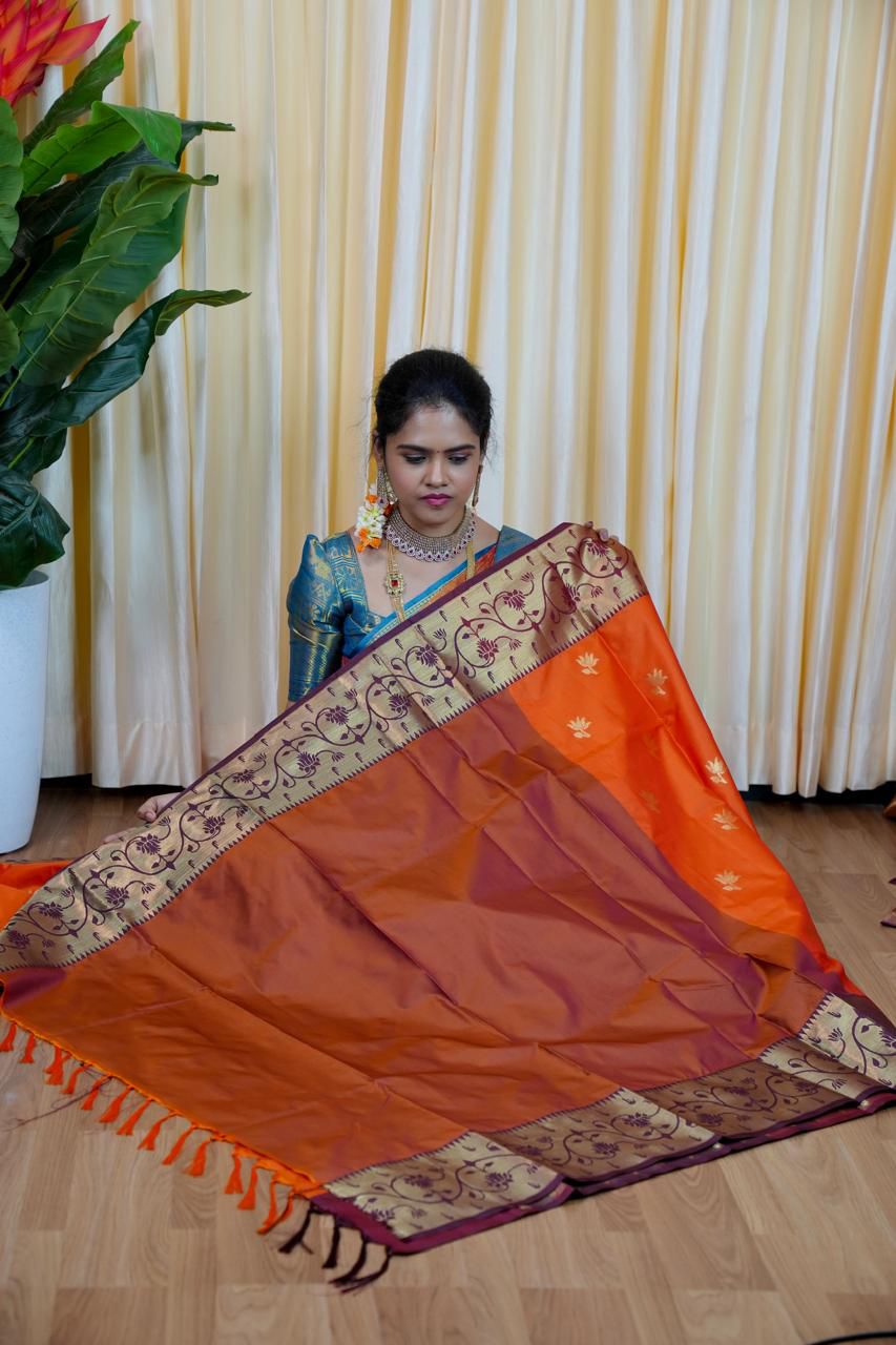 Paithani border soft silk sarees 🥳