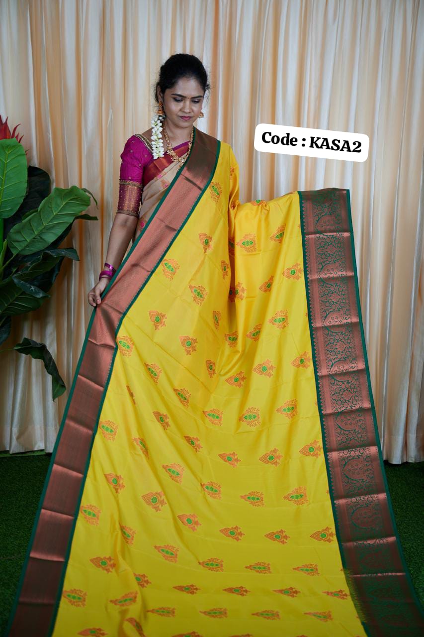 Kanchi semi silks🥳