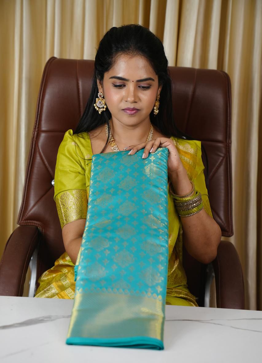 Kanchi semi silk sarees🥰😎📚⛳️
