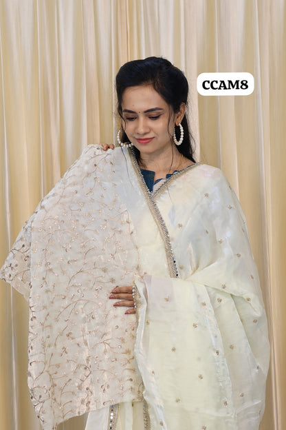 Shape Silk  Mirror work border saree😍🥳