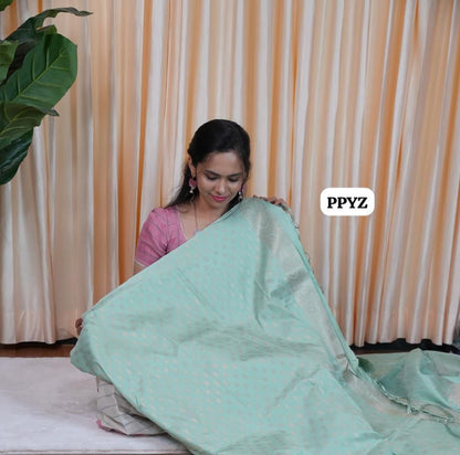 Semi silk saree🥳