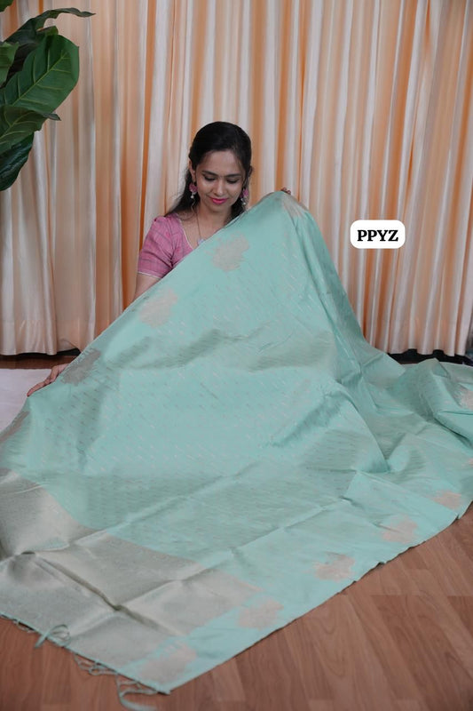 Semi silk saree🥳